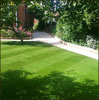 landscape gardening in Salisbury